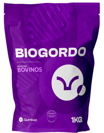 Saquinho do Biogordo png